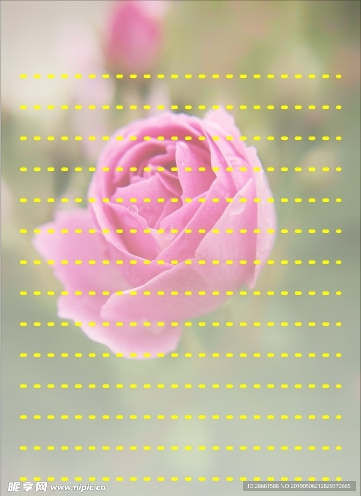 信纸