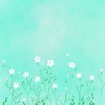 花草天空