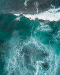 海洋