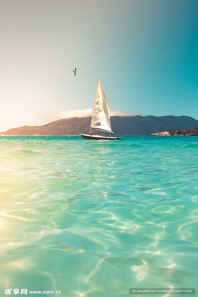 海洋