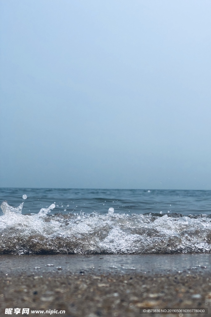 大海