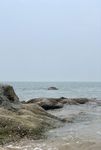 大海
