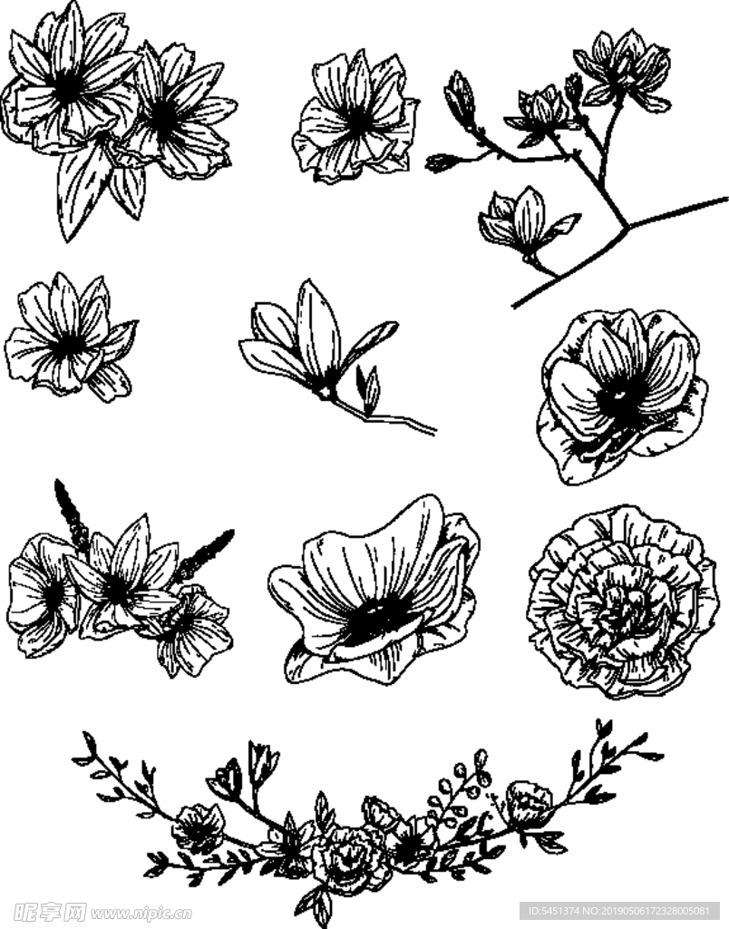 黑白白描花卉线稿