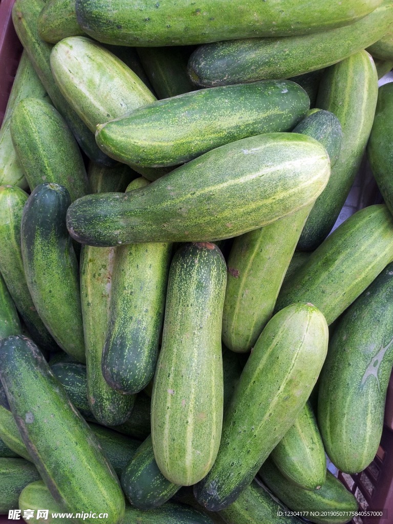 黄瓜