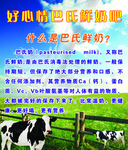 巴氏鲜奶