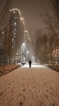 雪