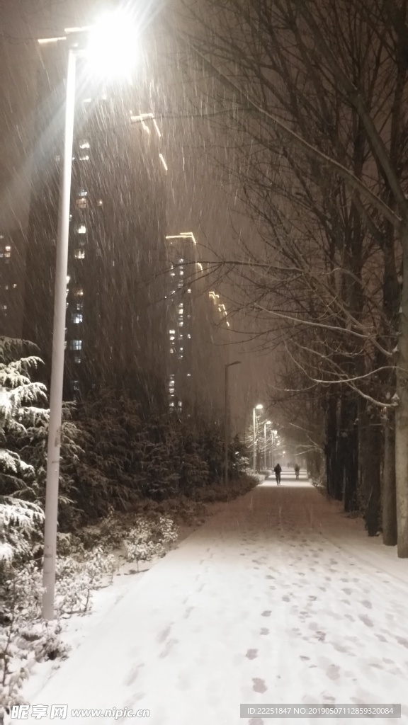 雪景