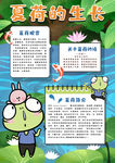 植物成长小报