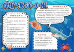 环保小报