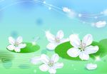 高清矢量浮萍花