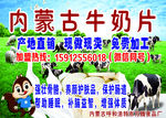 内蒙古牛奶片