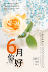 六月你好