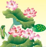 荷花