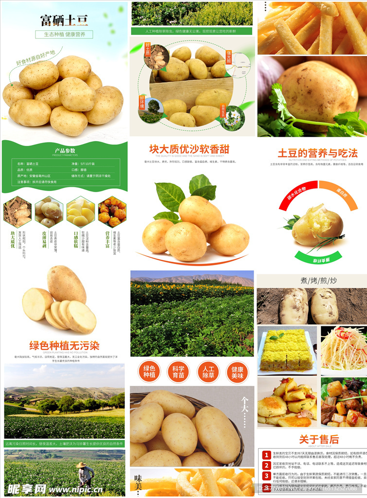淘宝秋冬进补食品食材土豆马铃薯
