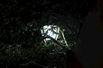 路灯与树枝