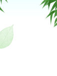 小清新
