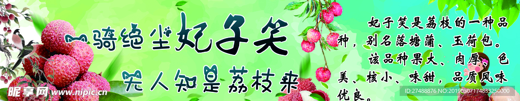 妃子笑荔枝