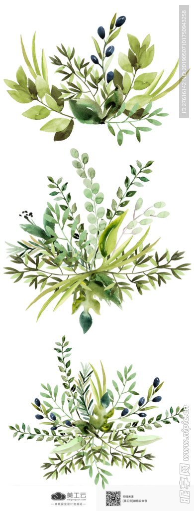 植物素材png