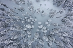 雪景