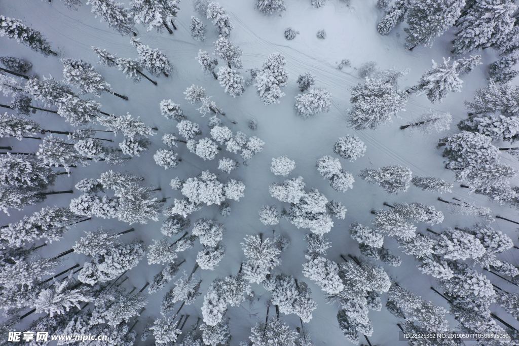 雪景