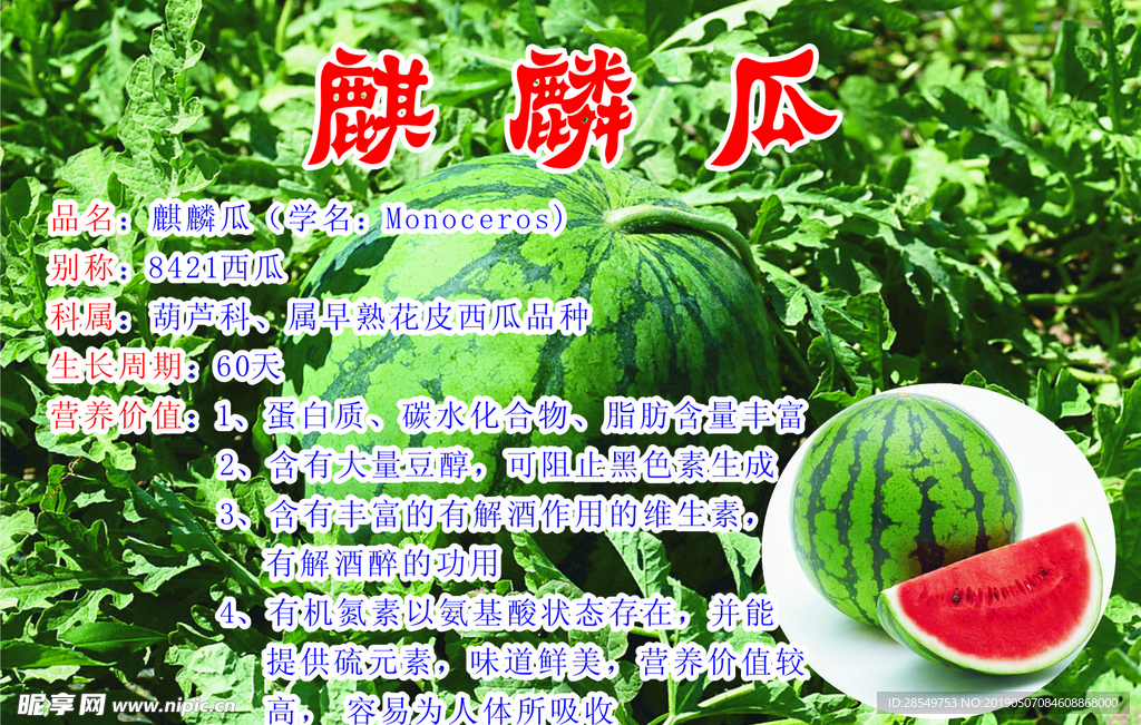 麒麟瓜