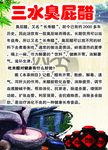 醋海报