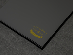 logo样机