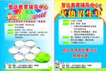 智达教育辅导中心彩页