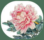 工笔小品国画牡丹