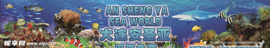 海底世界 深海鱼宫