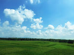 蓝天绿地