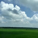 蓝天绿地