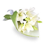 百合花茶