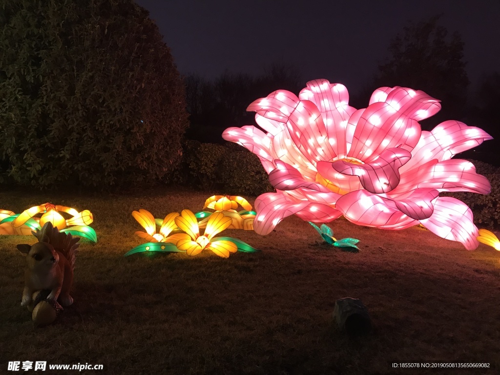 2019 灯展 灯会 花灯