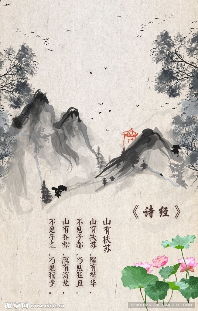 诗经 海报 山有扶苏 荷花