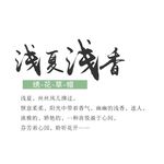 文字 排版设计 海报 广告