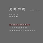 文字 排版设计 海报 广告