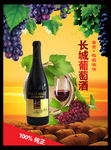 长城金装1998干红葡萄酒海