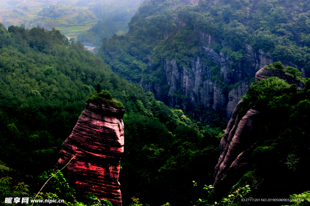 冠豸山 生命之根