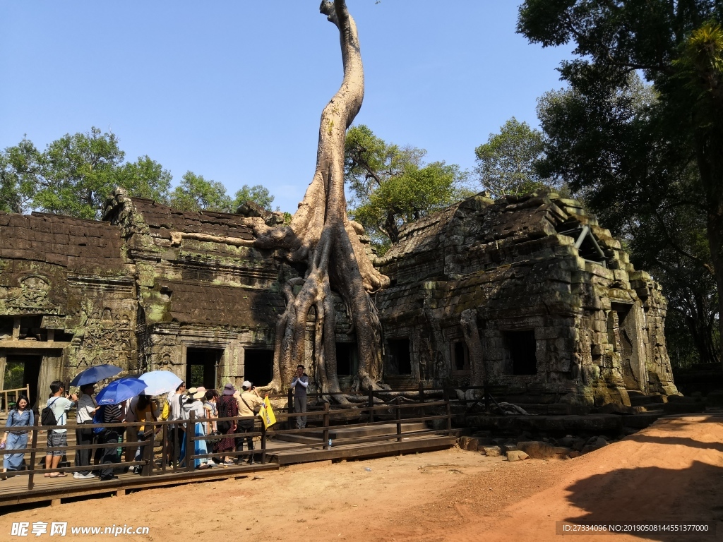 柬埔寨 塔普伦庙 古墓丽影