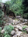 风景