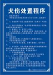 犬伤处置程序