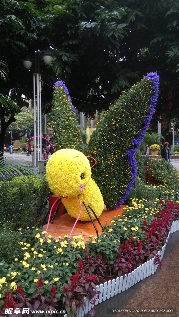 蜜蜂