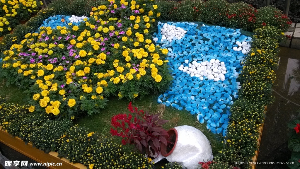 菊花