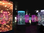 水母展览馆