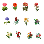 手绘风格花朵小花