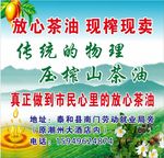 茶油海报