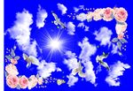云朵 和平鸽矢量图
