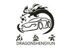 龙盛云汽车