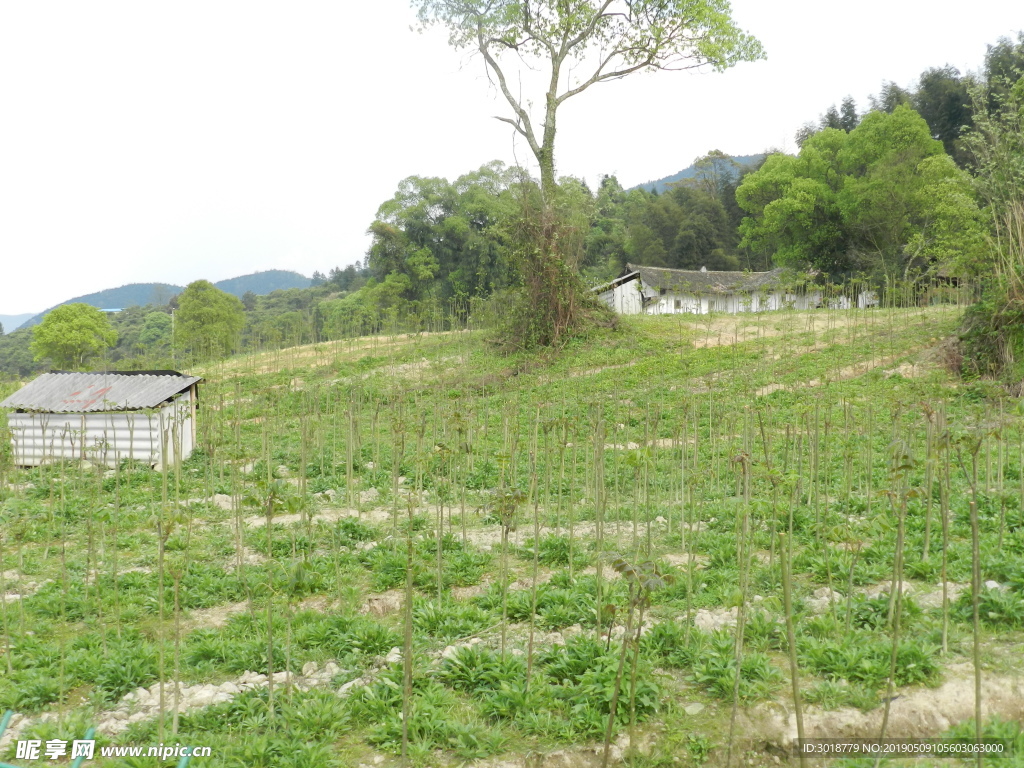 种植基地